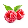 Raspberry Ketone