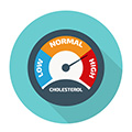 icon of a meter reader that reads how much cholestrol you have icon of a meter reader that reads how much cholestrol you have