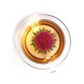 milk thistle tea which helps in safeguarding and repairing liver cells and also reduces inflammation in the liver