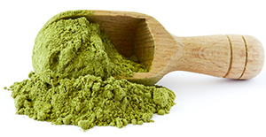 a spoonful of dried moringa leaf powder spilling out of spoon a spoonful of dried moringa leaf powder spilling out of spoon