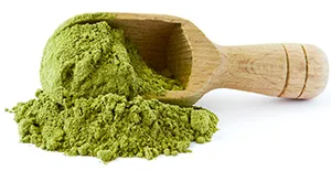 a spoonful of dried moringa leaf powder spilling out of spoon