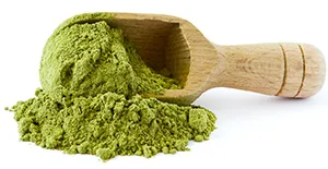 a spoonful of dried moringa leaf powder spilling out of spoon a spoonful of dried moringa leaf powder spilling out of spoon