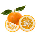 Oranges which may temporarily suppress your appetite and increase the number of calories burned
