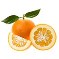 Oranges which may temporarily suppress your appetite and increase the number of calories burned