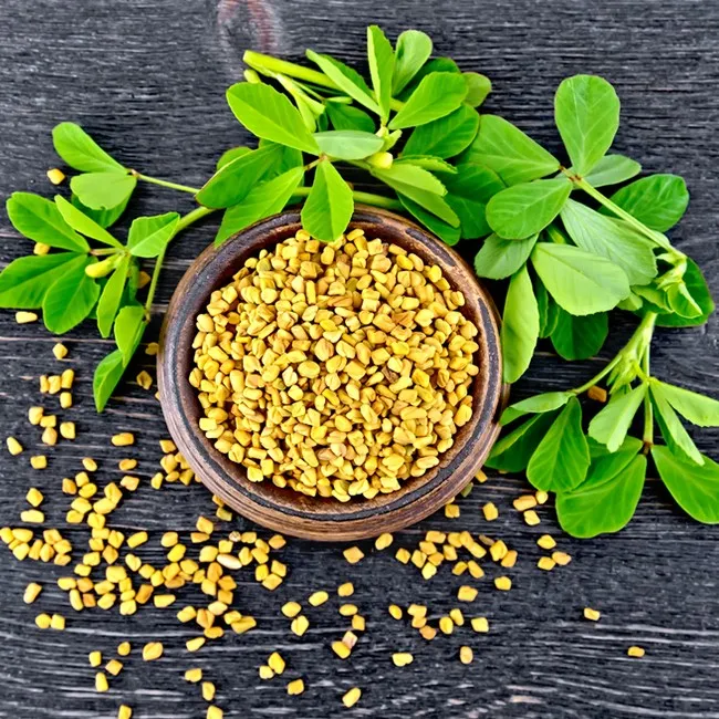 What Is Fenugreek? | Benefits & How To Use | WeightWorld