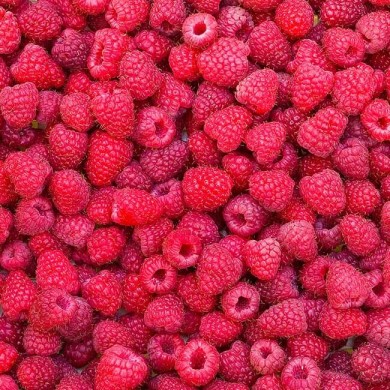 raspberries to represent benefits of raspberry ketones