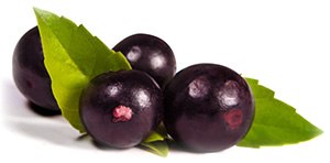 Image of Acai Berries