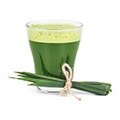Barley Grass Juice