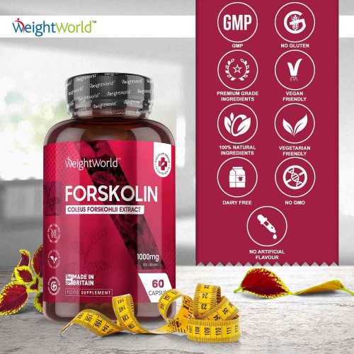 forskolin supplement