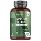 Bottle of 365 ginkgo biloba tablets