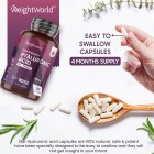 Features of our hyaluronic acid capsules
