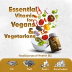Common food sources of Vitamin B12