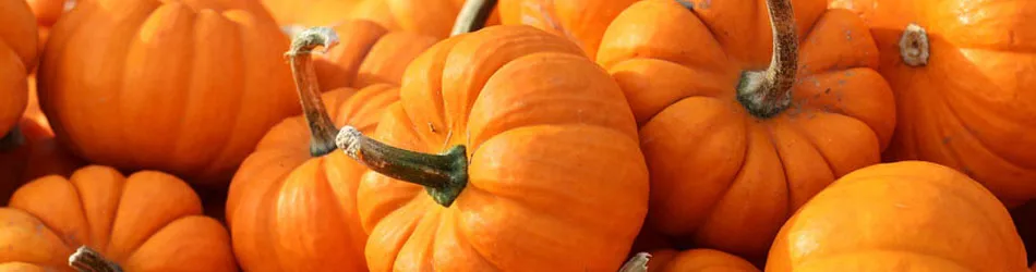 number of pumpkins used as a great source of vitamin c
