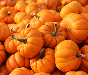 number of pumpkins used as a great source of vitamin c