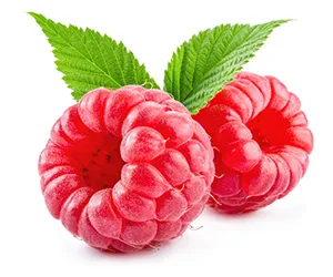 What are Raspberry Ketones?