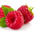 image of raspberries to represent raspberry ketones