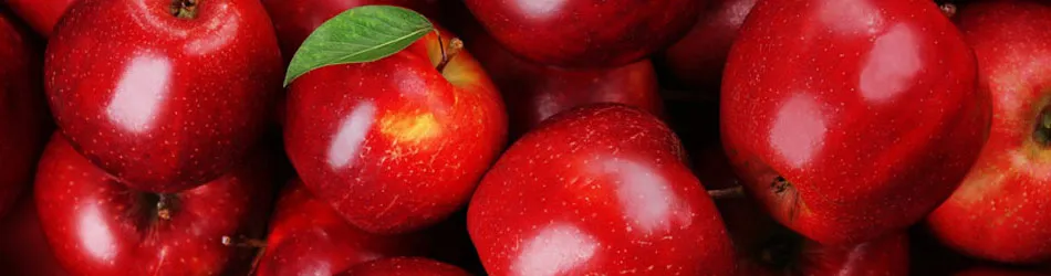 Bunch of bright red apples with the leaves on the stem