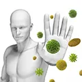 Image Of The Immune System Image Of The Immune System