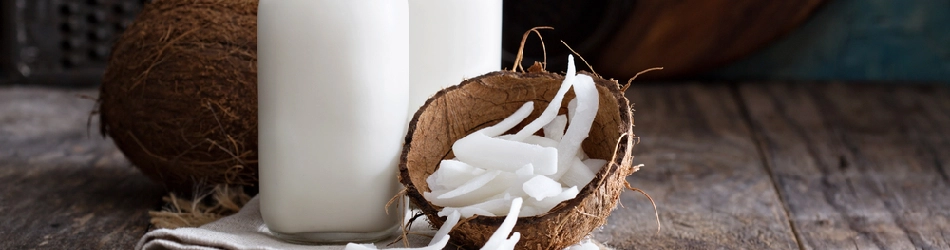 coconut-vegan-milk-non-dairy