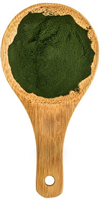 image of a wooden spoon with spirulina powder in it image of a wooden spoon with spirulina powder in it