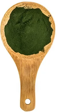 image of a wooden spoon with spirulina powder in it