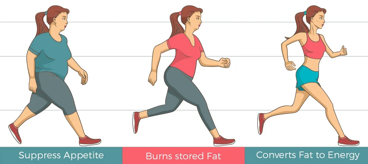 infographic showing the different stages of weight loss