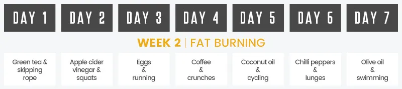 infographic on food and drinks to help fat burning