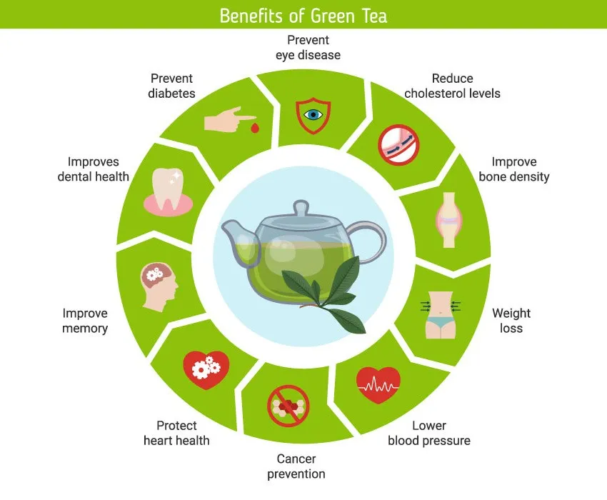 inforgraphic showing the ten benefits of drinking green tea