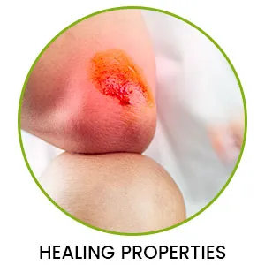 Infographic on Various Health Benefits of Turmeric Infographic on Various Health Benefits of Turmeric