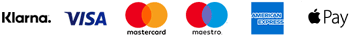 logo of visa, mastercard, maestro, american express, paypal and faster payments
