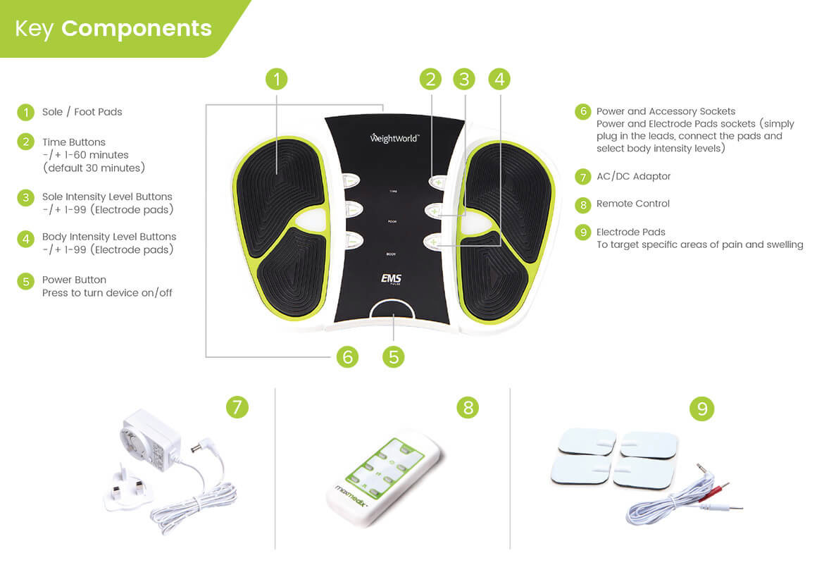 infographic to show key components of the weightworld circulator
