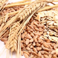 Whole Grains Whole Grains
