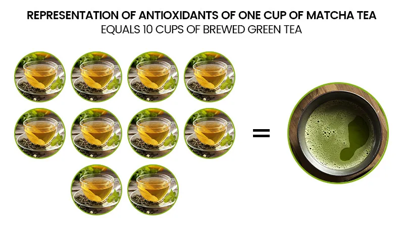 infographic showing how one cup of matcha tea equals 10 cups of brewed green tea