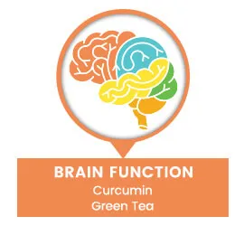 brain function curcumin green tea