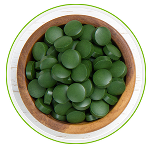 birds eye view of a cup full of bio spirulina algae tablets