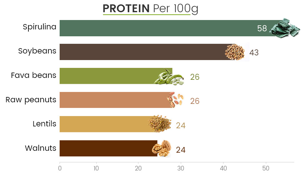 protein protein