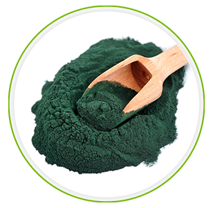 view of packaging for diet foods super spirulina Pure Algae Superfood Formula