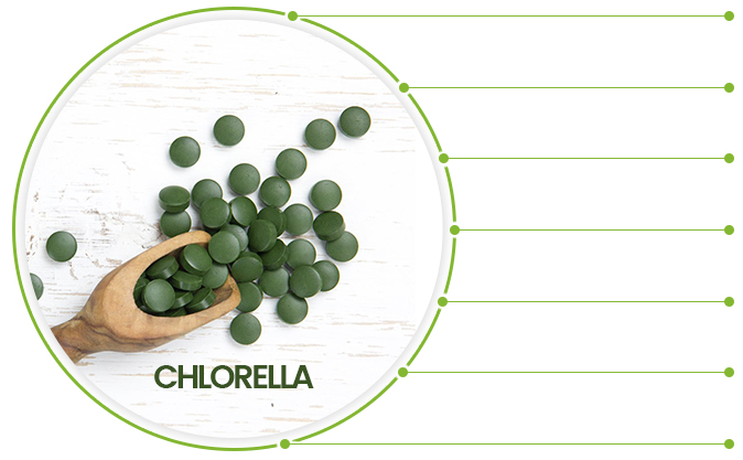 infographic with a picture of a spoon with chlorella tablets in it
