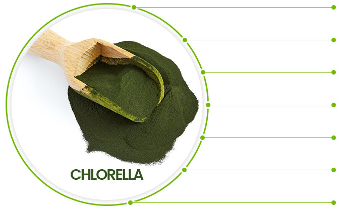 view of packaging for diet foods super chlorella Natural Multivitamin Formula