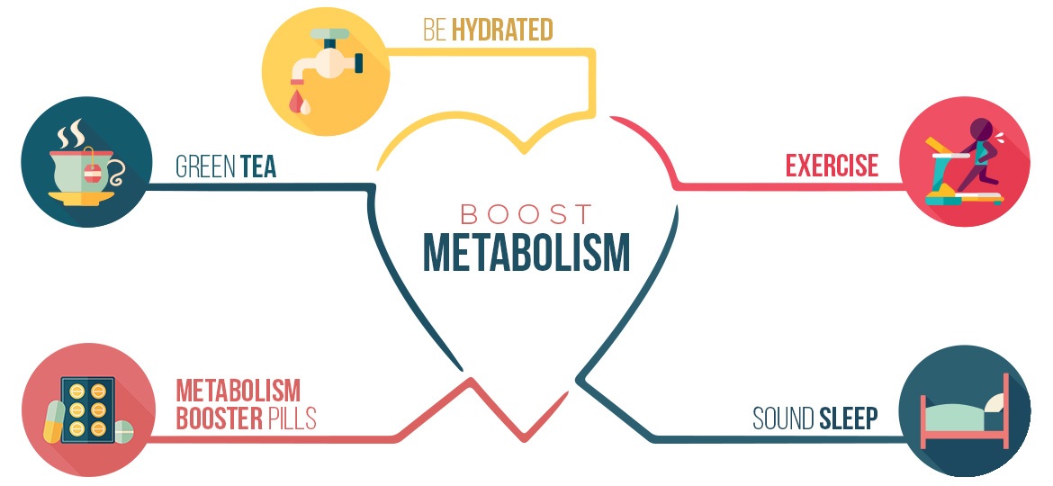 Metabolic Processes