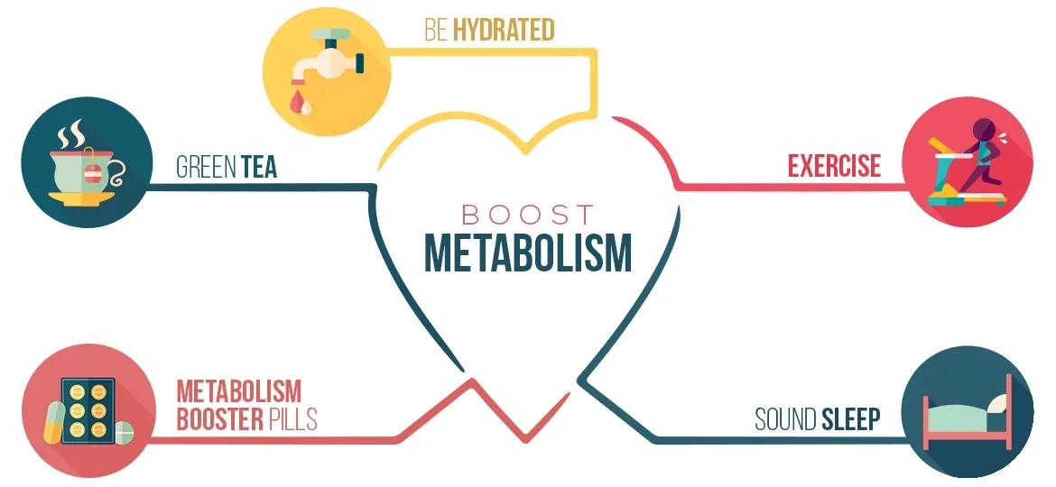 infographic on how to boost the metabolism in different ways 