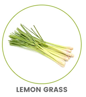 image of a bunch of lemon grass roots to show colon cleanse