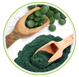 two spoons full of spirulina capsules and spirulina powder two spoons full of spirulina capsules and spirulina powder