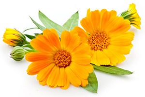 Image of Yellow Flowers to show how stretch marks cream worka