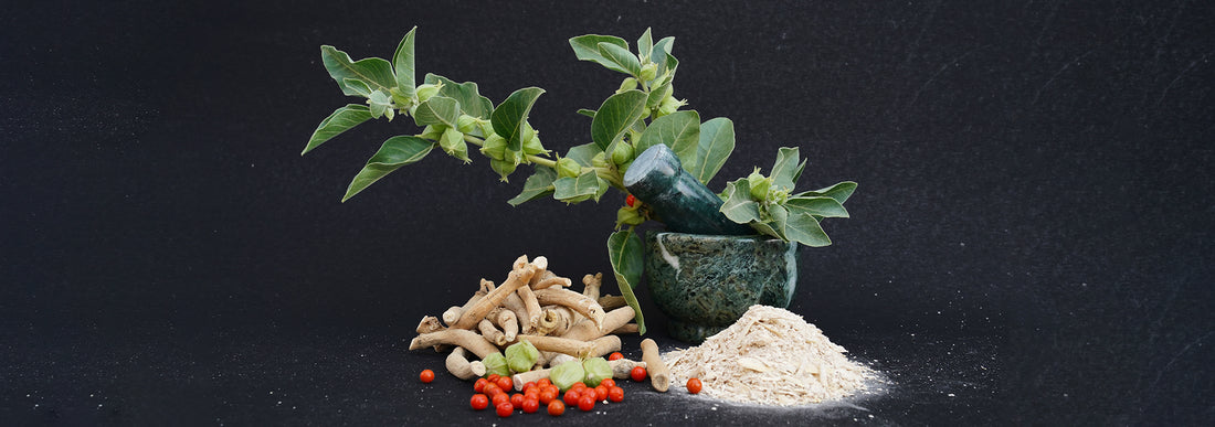 How Long Does Ashwagandha Take to Work? A Guide to Faster Results