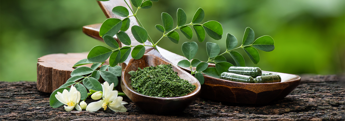 Benefits of Moringa