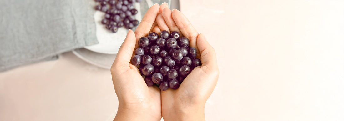 14 ways Acai Berry Extract can boost health + 2 recipes