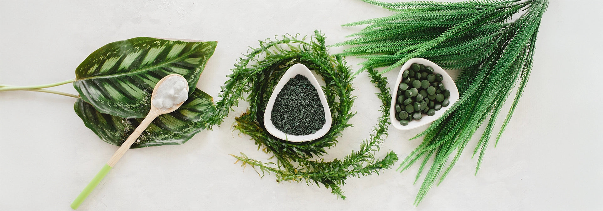 Know Your Algae: Everything You Need to Know about Spirulina and Chlorella
