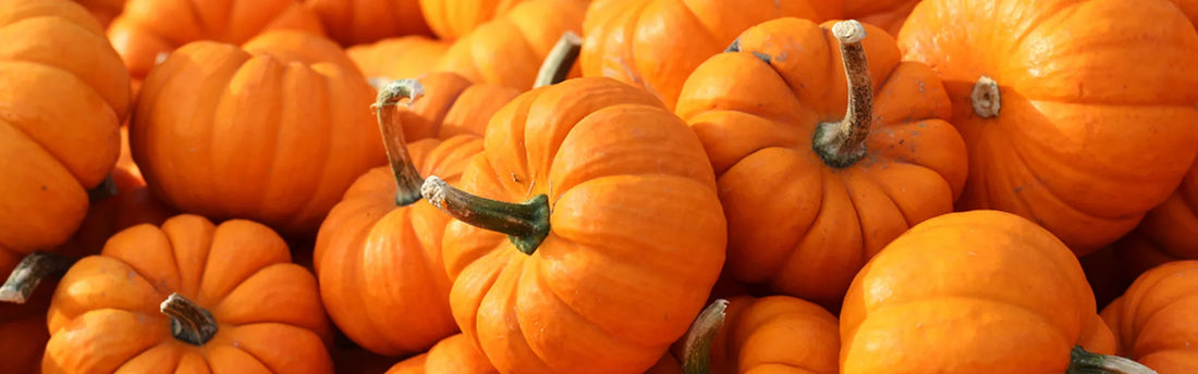 5 Ingredients For A Seasonal Detox This Autumn