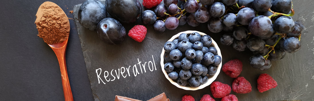 What Is Resveratrol And How Can It Help Us?